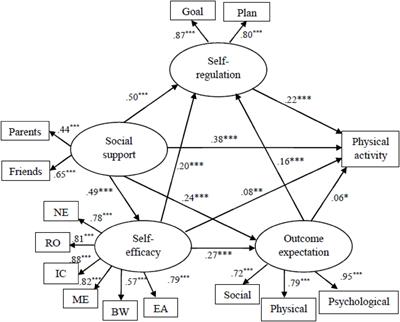 Applying Social Cognitive Theory in Predicting Physical Activity Among Chinese Adolescents: A Cross-Sectional Study With Multigroup Structural Equation Model